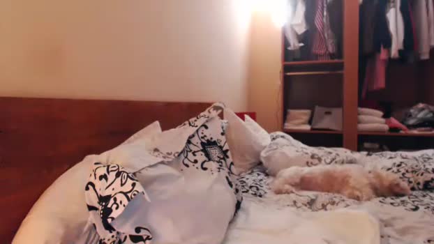 andrasweetie cute Webcam SHOW @ Chaturbate 01-01-2025