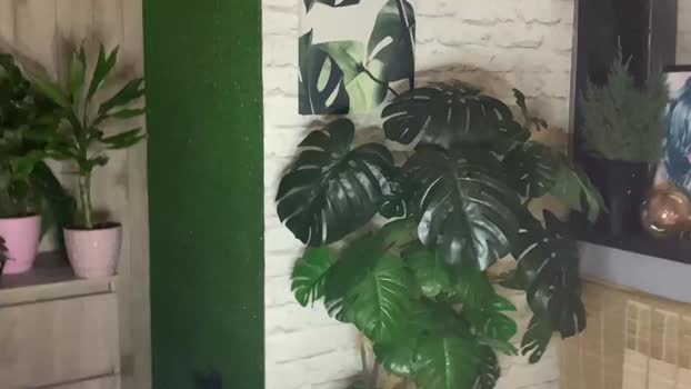 hotcoupleee2020 analsex Webcam SHOW @ Chaturbate 03-01-2025