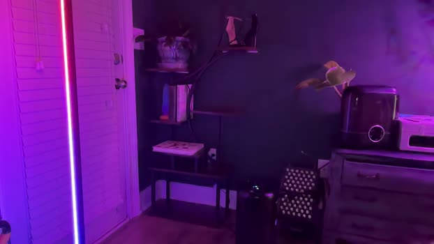 oliviahansleyy natural Webcam SHOW @ Chaturbate 05-01-2025