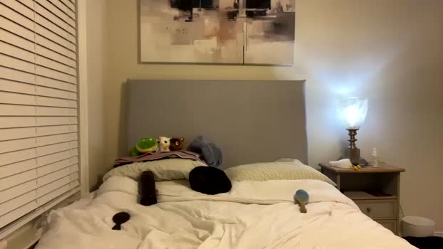 susannahxx fuckhard Webcam SHOW @ Chaturbate 12-01-2025