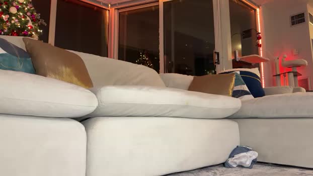 graciemae_baexx hard Webcam SHOW @ Chaturbate 23-01-2025