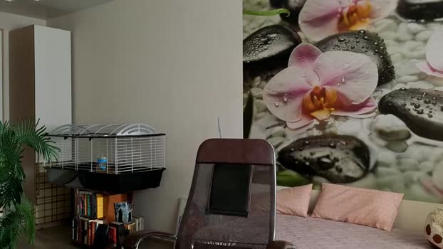 jennycutey Pretty Webcam SHOW @ Chaturbate 25-01-2025