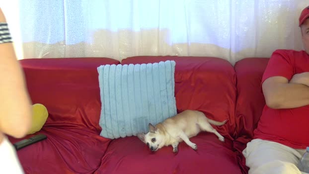 mickeyshyne69 jerkoff Webcam SHOW @ Chaturbate 09-02-2025