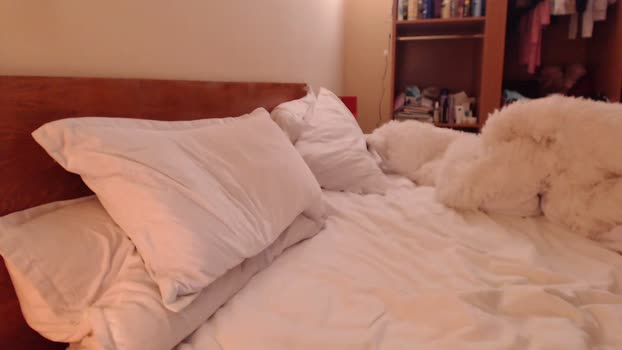 andrasweetie Ass Webcam SHOW @ Chaturbate 01-03-2025