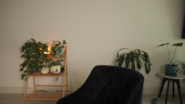 doubedeesarai lickpussy Webcam SHOW @ Chaturbate 04-03-2025