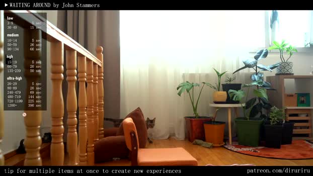 ms_dira fuck Webcam SHOW @ Chaturbate 01-04-2025