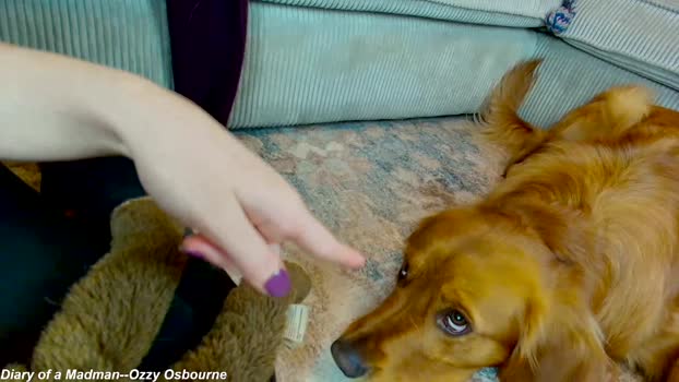 x_lily_x sexy Webcam SHOW @ Chaturbate 01-05-2025