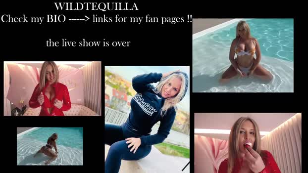 wildtequilla Porn Webcam SHOW @ Chaturbate 21-05-2025