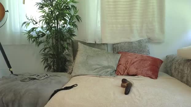 malenahot525 toys Webcam SHOW @ Chaturbate 05-06-2025