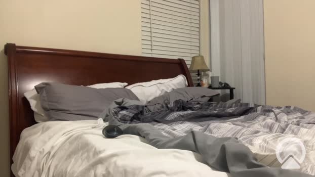 daddylongdong1x natural Webcam SHOW @ Chaturbate 15-06-2025