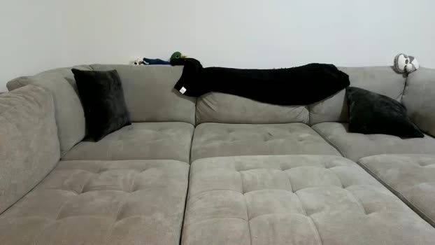 scarletterose_504259 fuckme Webcam SHOW @ Chaturbate 29-07-2025