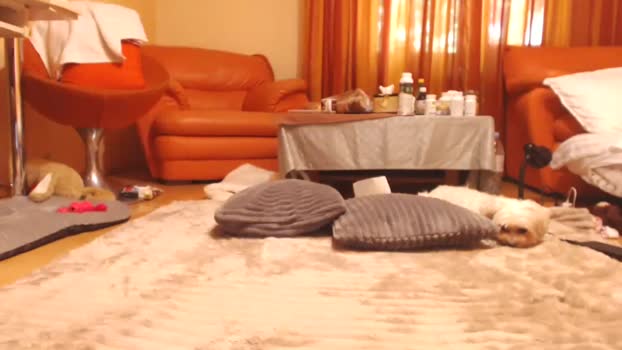 andrasweetie natural Webcam SHOW @ Chaturbate 27-08-2025