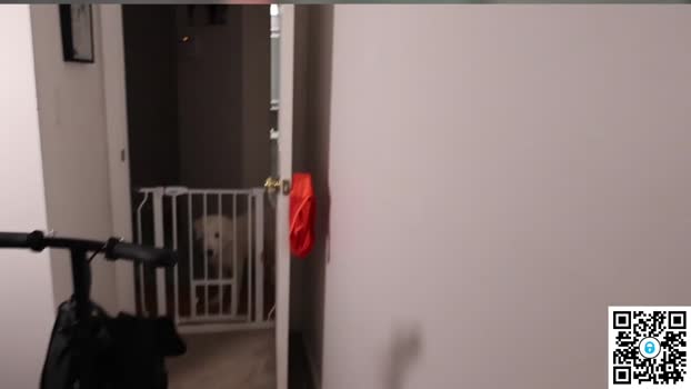 ari_lovexo Show Webcam SHOW @ Chaturbate 10-09-2025