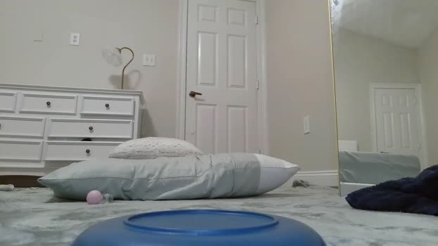 aliii1123 analtoy Webcam SHOW @ Chaturbate 11-09-2025
