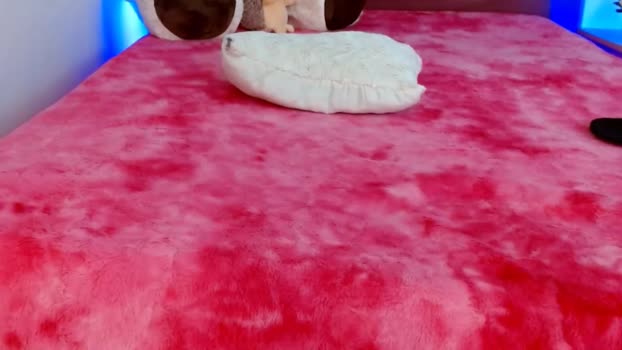leonacutecam legs Webcam SHOW @ Chaturbate 26-09-2025