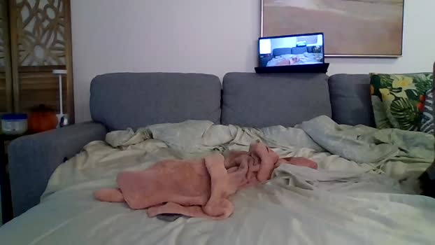 bigjoed233 hot Webcam SHOW @ Chaturbate 12-10-2025