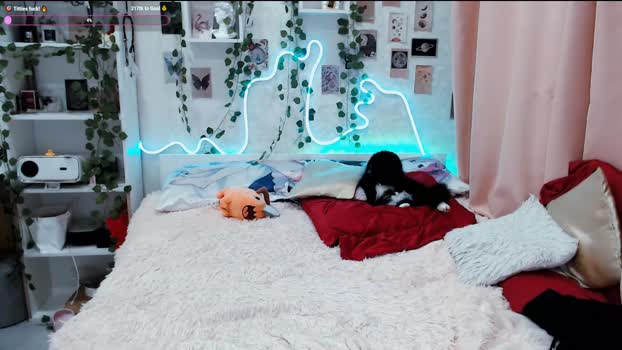 meow_on_da_cam Topless Webcam SHOW @ Chaturbate 15-10-2025