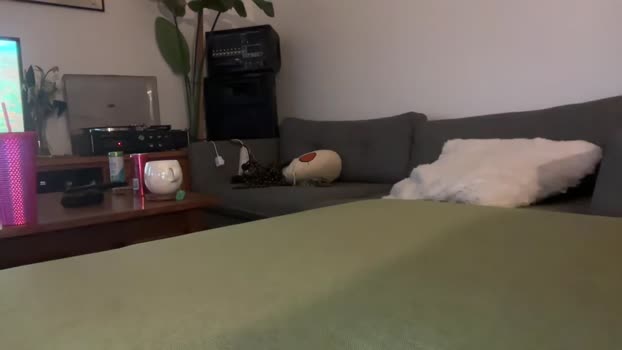 foxyone01 fuckhard Webcam SHOW @ Chaturbate 18-10-2025