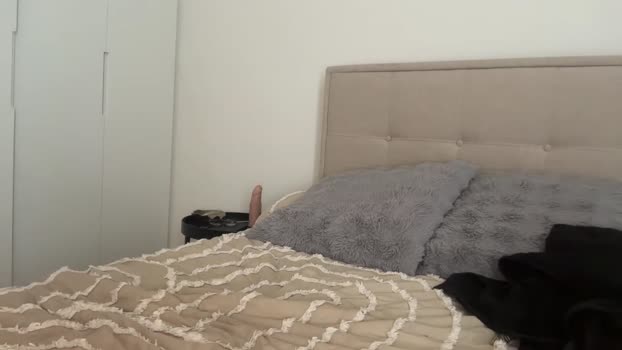 ava_delightt sexykitty Webcam SHOW @ Chaturbate 27-10-2025