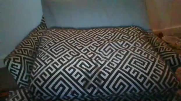 sexxxyvibes analtoy Webcam SHOW @ Chaturbate 07-11-2025