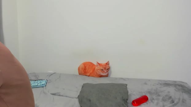 raveneusbiter sucktits Webcam SHOW @ Chaturbate 28-11-2025