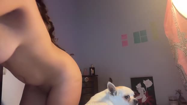 avangelinefunn99 ass Webcam SHOW @ Chaturbate 29-11-2025