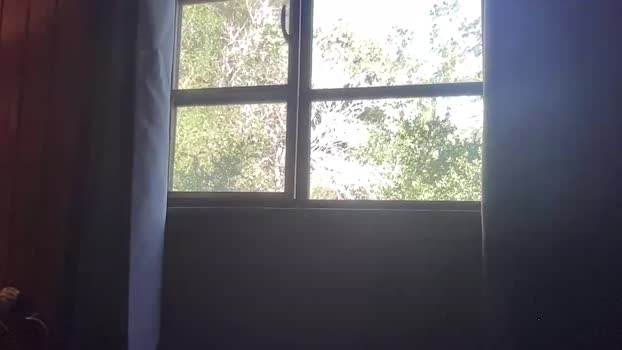 rubywavesback pussy Webcam SHOW @ Chaturbate 05-12-2025