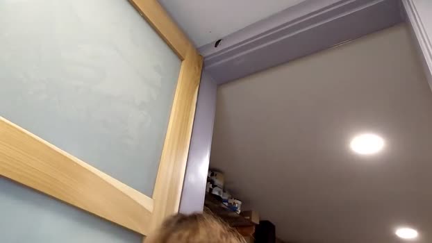 info_chat orgasm Webcam SHOW @ Chaturbate 15-12-2025