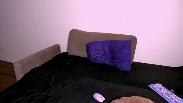 ladytrep suckshow Webcam SHOW @ Chaturbate 14-12-2025