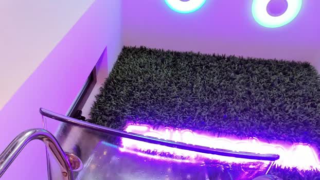 hotfallingdevil bigtoys Webcam SHOW @ Chaturbate 17-12-2025