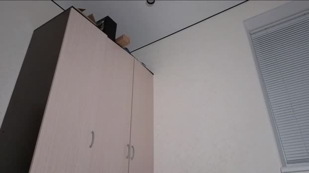 hoaarisa ass Webcam SHOW @ Chaturbate 19-12-2025
