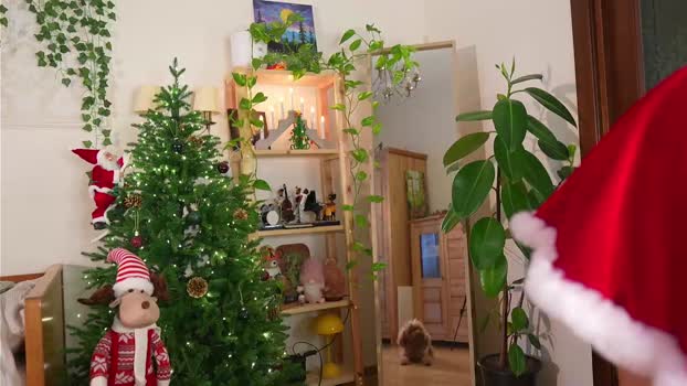eli_sun big Webcam SHOW @ Chaturbate 22-12-2025