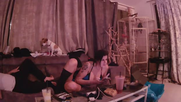 eldad3371 Ass Webcam SHOW @ Chaturbate 01-01-2026