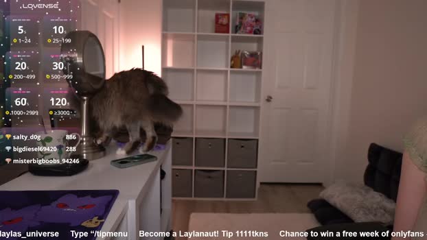laylas_universe gag Webcam SHOW @ Chaturbate 16-01-2026