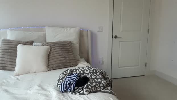 willoww888 tits Webcam SHOW @ Chaturbate 18-01-2026