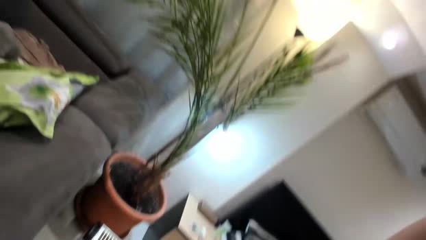 misspanthera Video Webcam SHOW @ Chaturbate 25-01-2026