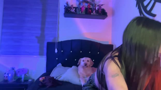 nocturnallovers_ss squirt Webcam SHOW @ Chaturbate 30-01-2026