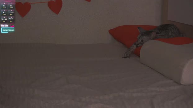 beatris_mils naughty Webcam SHOW @ Chaturbate 04-02-2026