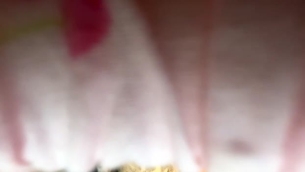 essence90210 beautiful Webcam SHOW @ Chaturbate 17-02-2026
