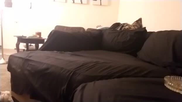 cactusbald817 suckshow Webcam SHOW @ Chaturbate 23-02-2026
