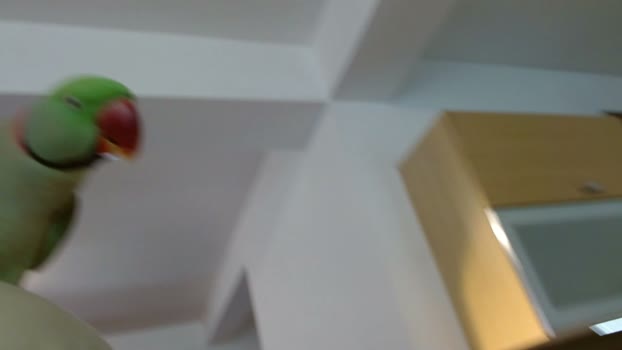 laura47_sweet fuckme Webcam SHOW @ Chaturbate 04-03-2026