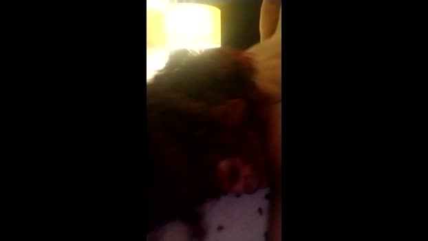 velvetbtwus hardcore Webcam SHOW @ Chaturbate 04-03-2026