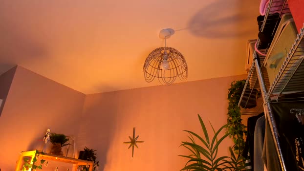 vixenp show Webcam SHOW @ Chaturbate 10-03-2026