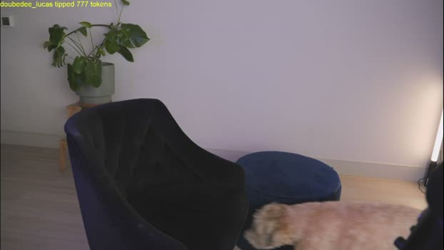 doubedeesarai fuckher Webcam SHOW @ Chaturbate 15-04-2026