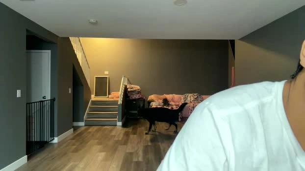 jasonsweets 04-05-2026 Porn suckshow playtime wet ass