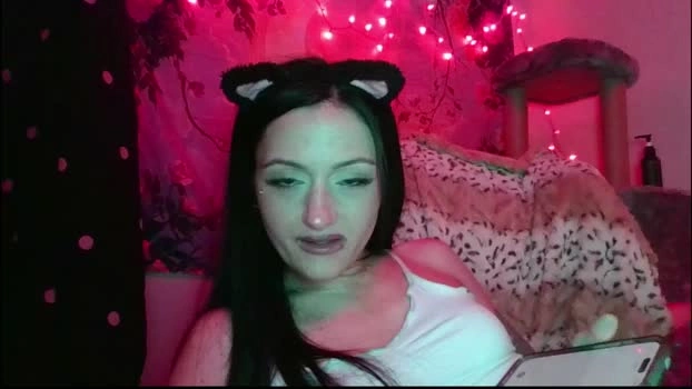 mermaid__kitty