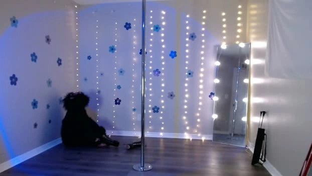 hexivu 17-05-2026 Porn fuckher ass play sexygirl