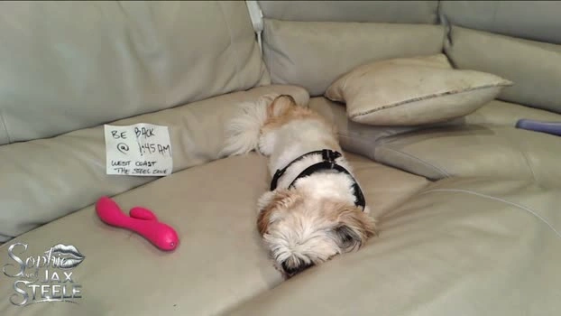 the_steele_zone 21-06-2026 Porn fingers hardcore squirt yummy