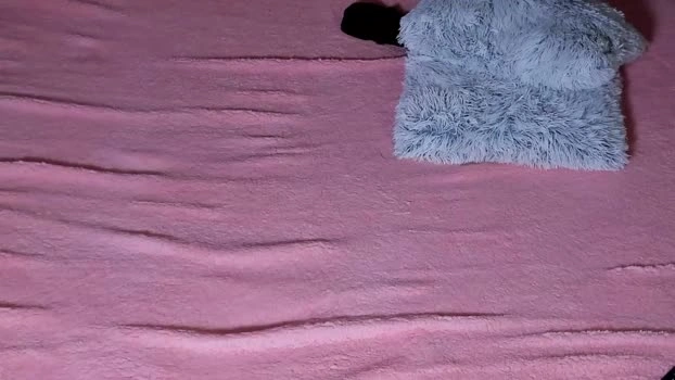 glitchdoll 02-07-2026 Porn Ass prettyface lickpussy Wet