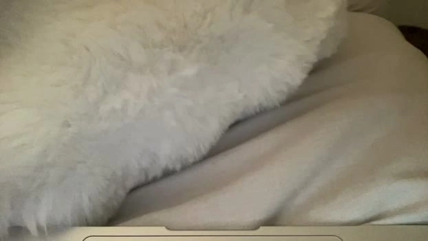 roxyrhode 15-07-2026 Porn fuckhard boobs sucktits Nude